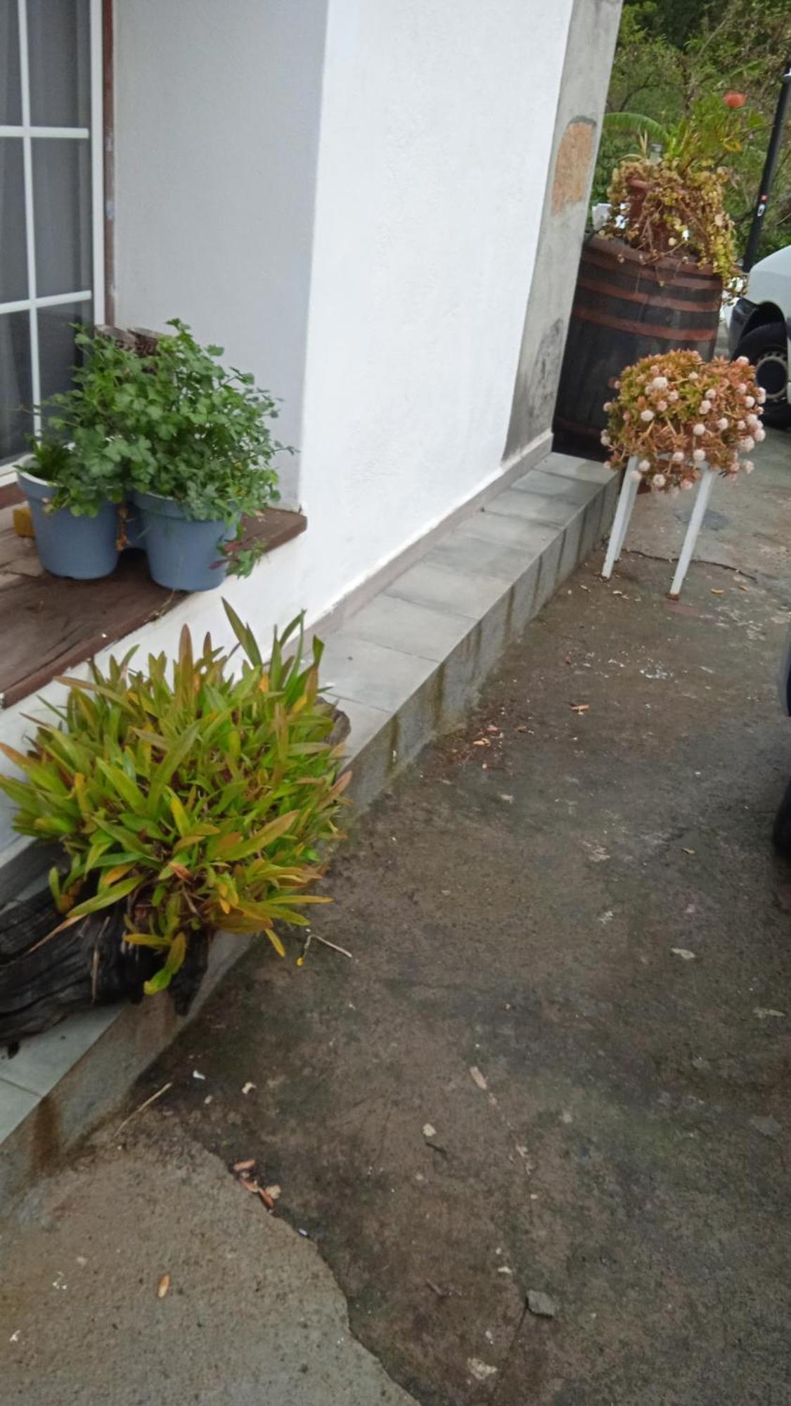Casa Nieves De Mario Villa Santa Cruz de la Palma  Exterior photo